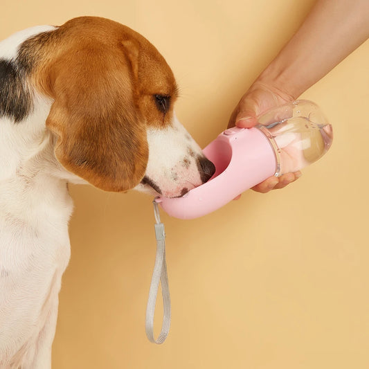 Gourde portable Frisqo pour chien — bouteille d'eau de promenade 2-en-1