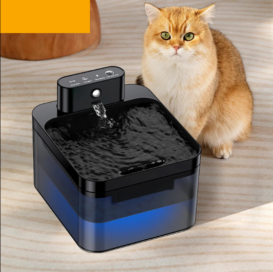 Fontaine Sans Fil Frisqo à Capteur Infrarouge — Batterie 2600mAh, Inox